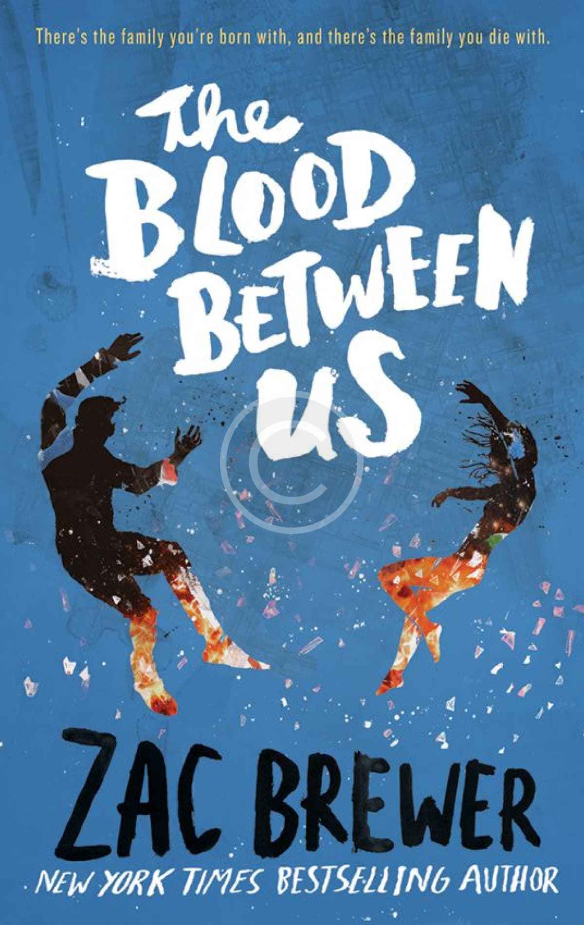 The Blood Between Us