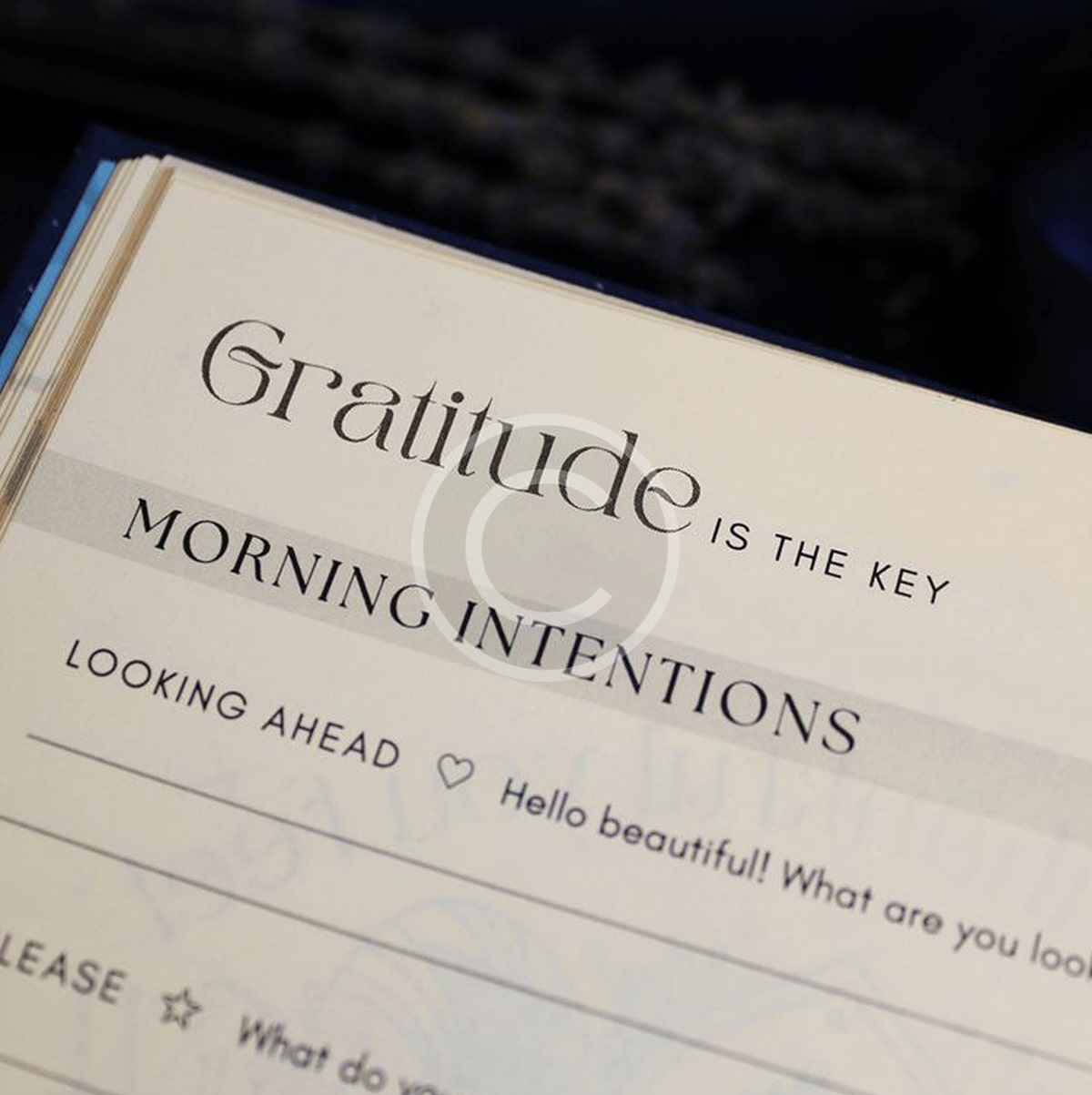 The Big Little Blessings - Image 5