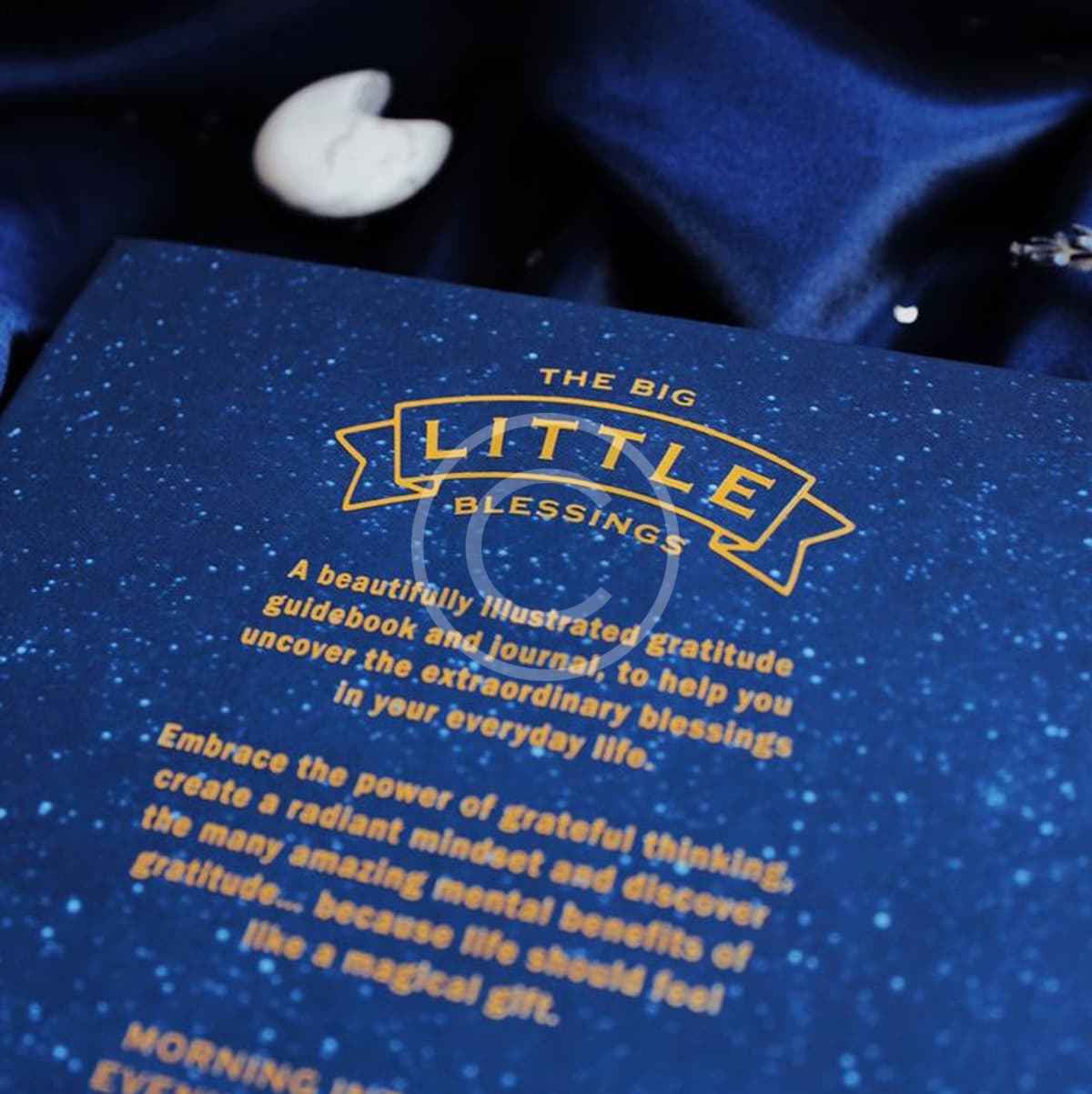 The Big Little Blessings - Image 7