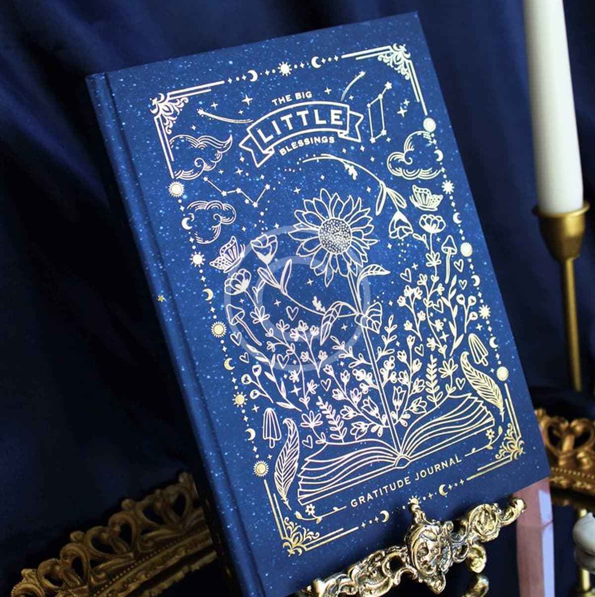 The Big Little Blessings - Image 4